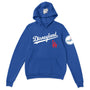 DisneyLAnd Pullover Hoodie - (PRE-ORDER)