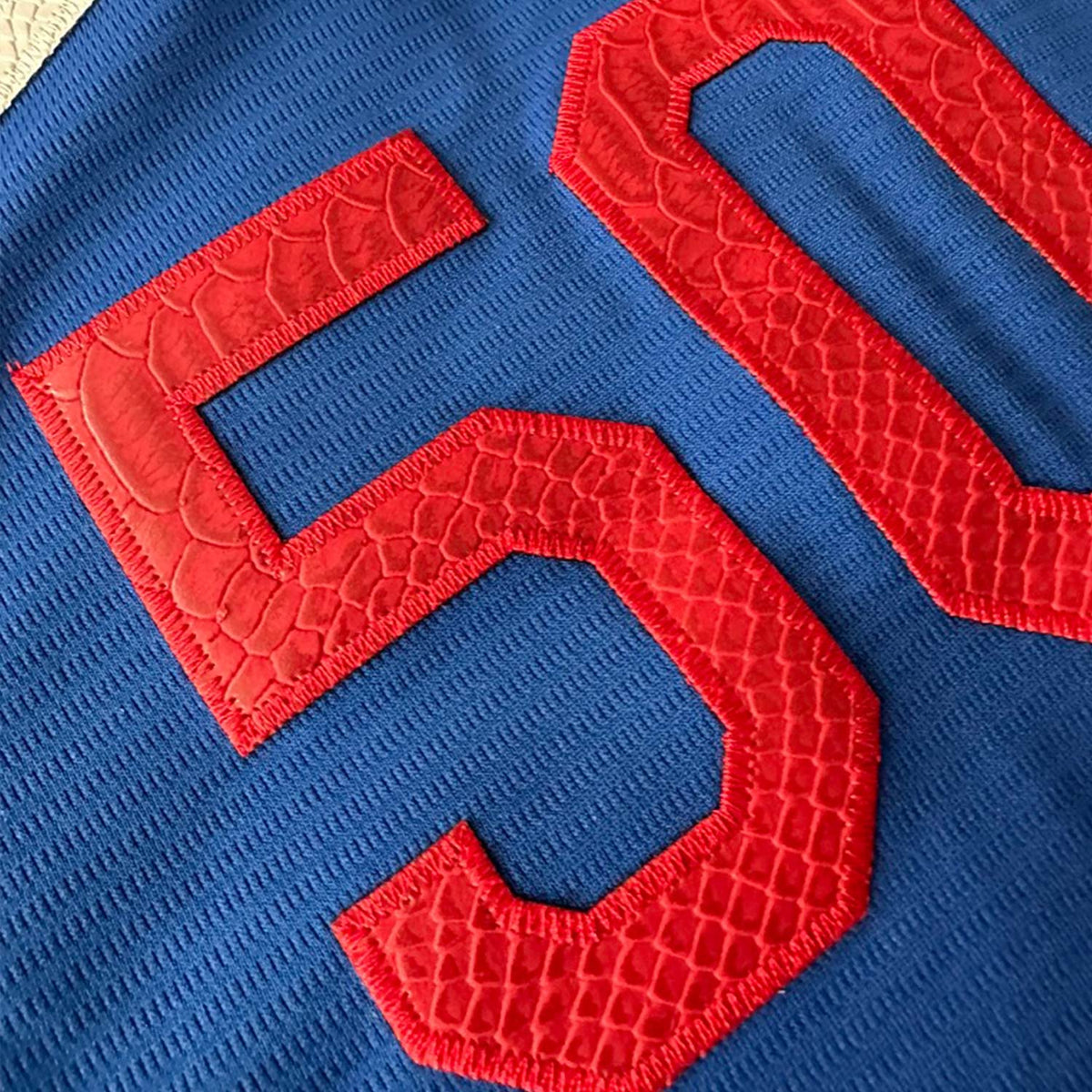 Hometown Los Angeles Grey Jersey - Animal Skin