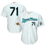 Hometown Florida Baseball Jersey